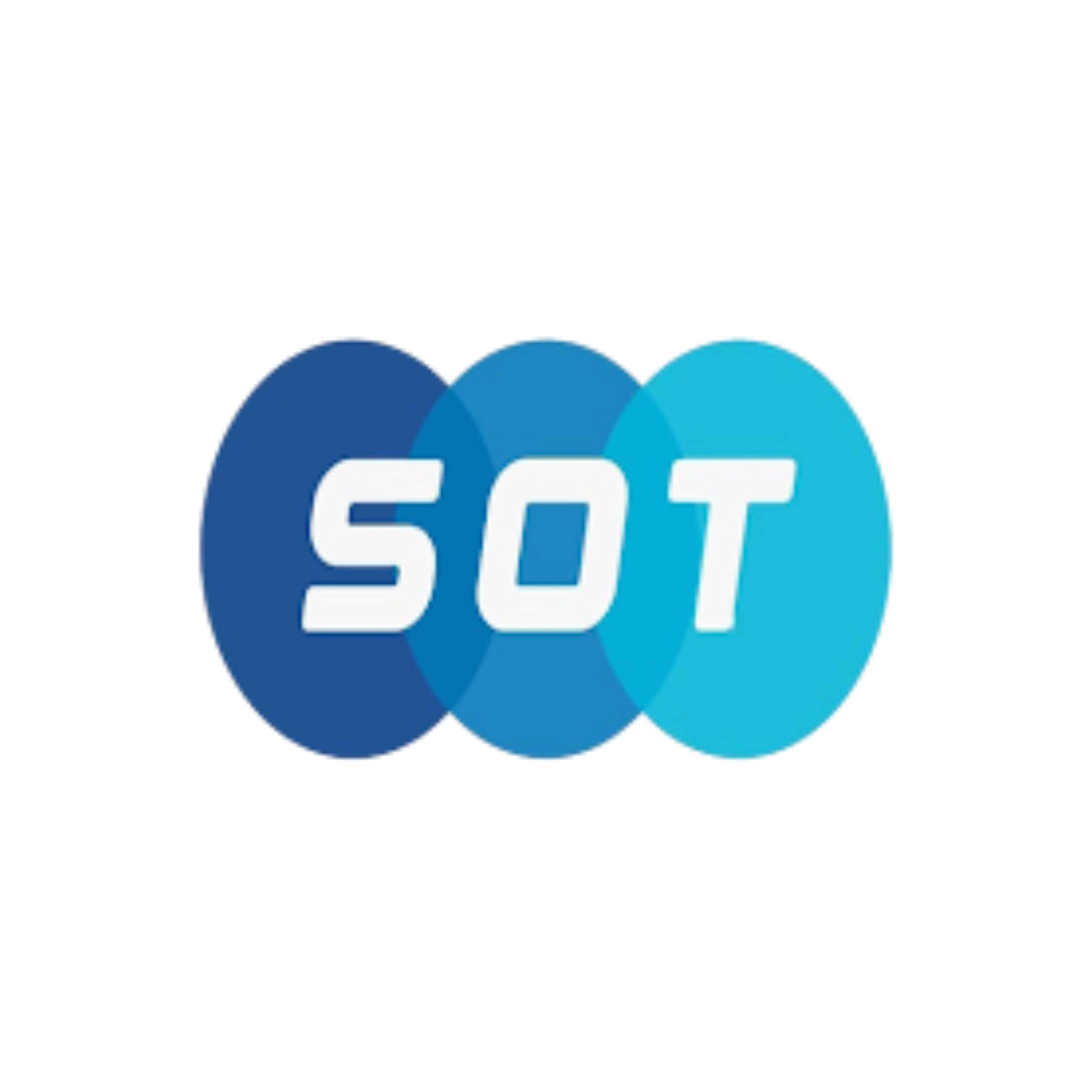Salary On Time logo